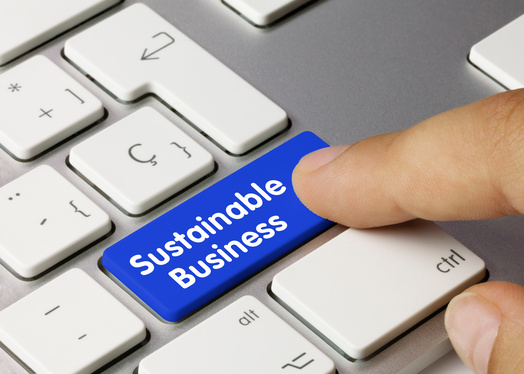 It seems more expansive company reporting on sustainability factors creates a better business model – WHY?